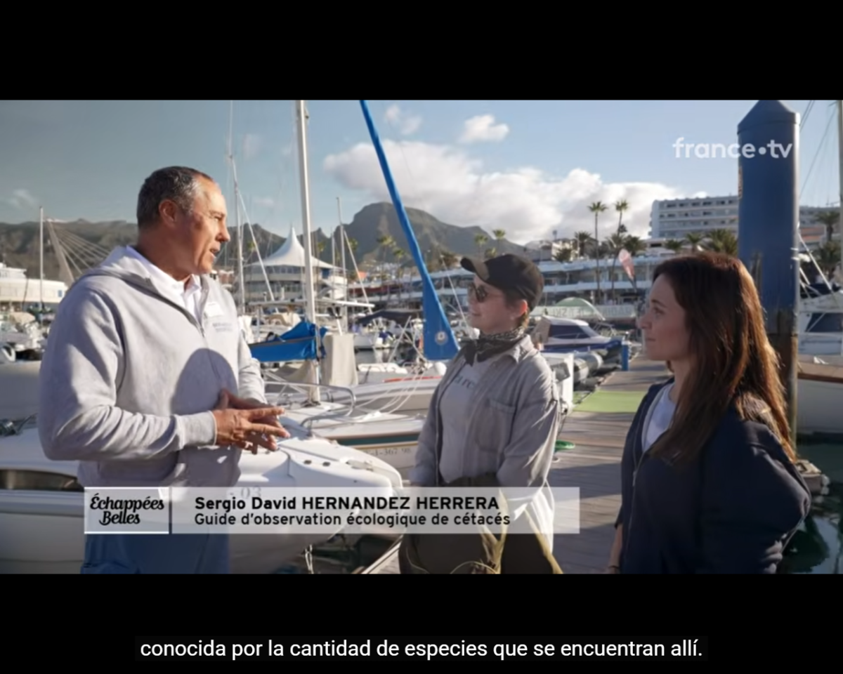 Divulgación TV Francia