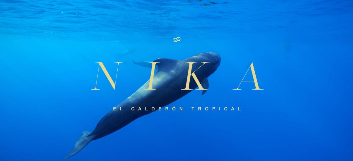 Nika el Calderon Tropical